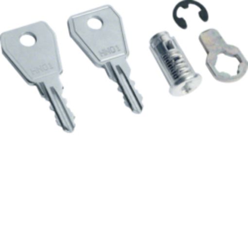 Picture of VZ302N 2-Key Lock for VOLTA Panels