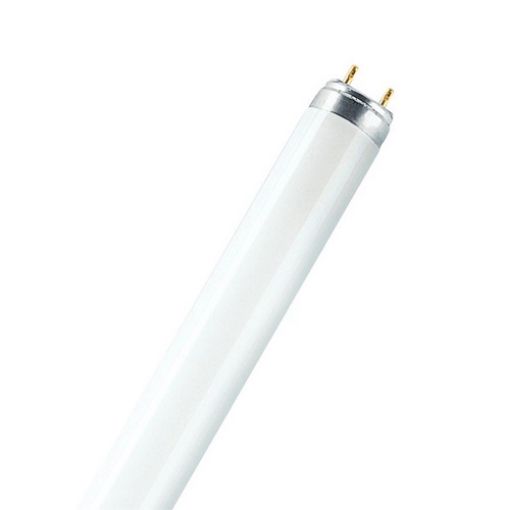 Picture of Fluorescent Lamp T8 1.5m 58W 4000K 5200lm