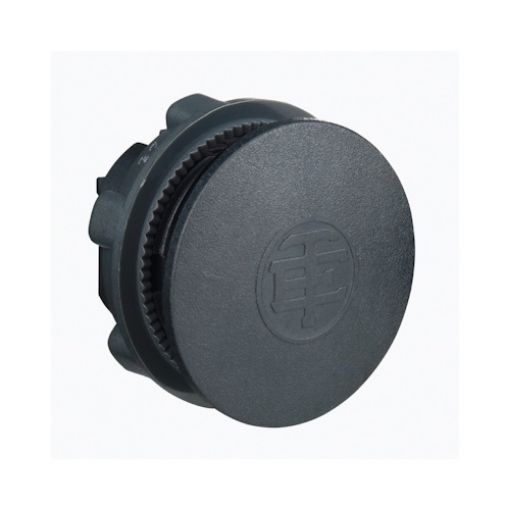 Picture of ZB5SZ3 Plastic Cover Φ22 With Nut