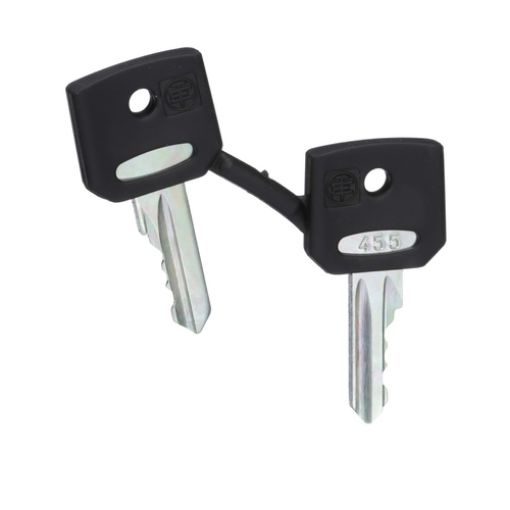 Picture of ZBG455 Key No. 455 (Set of 2 pcs.)