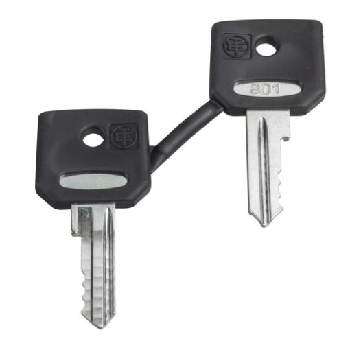 Picture of ZBG421E Key No. 421E (Set of 2 pcs.)
