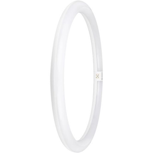 Picture of LED Lamp T9 Circular G10q Φ40 24W 6500K 2900lm 220-240V